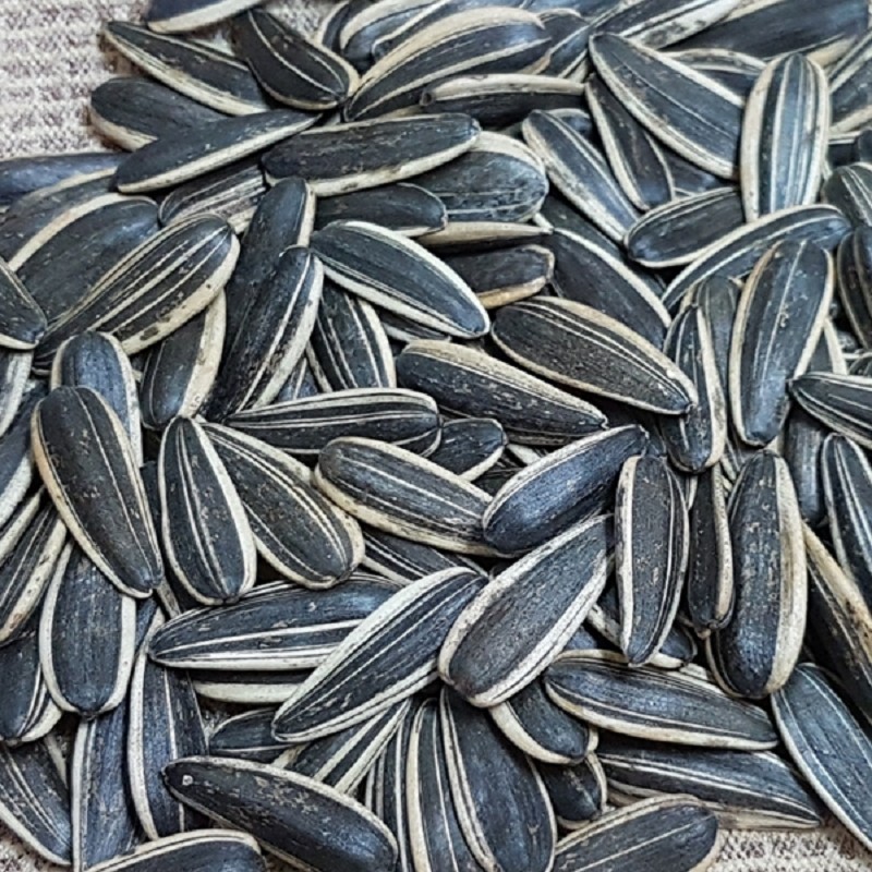 水煮瓜子 奶香味500g 食尚招牌 蝦皮購物