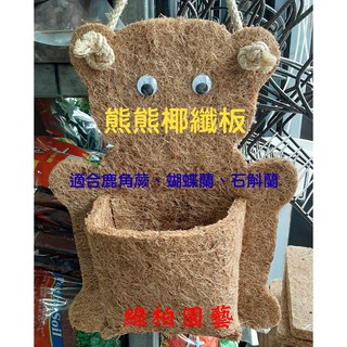 Sulin008 椰纖板7 8 9寸 蛇木板代用品 蘭科植物 鹿角蕨適用 綠柏園藝資材 蝦皮購物