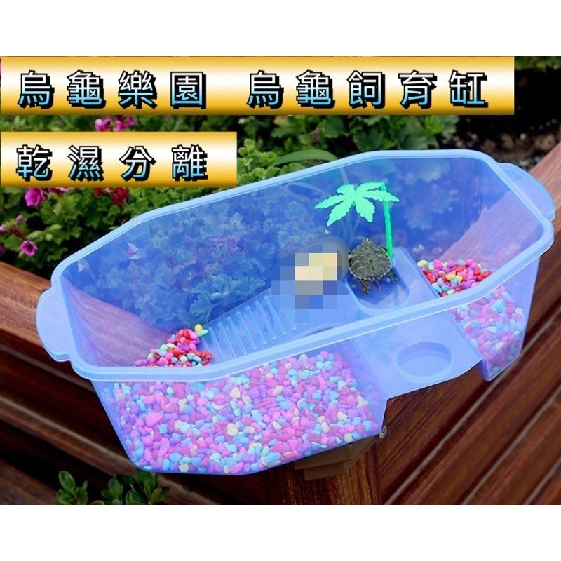 動力水族 寵物缸兩棲缸烏龜缸角蛙缸寄居蟹飼育盆飼育箱寵物箱寵物盒曬背缸爬缸角蛙烏龜水龜 蝦皮購物