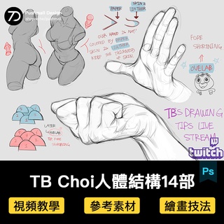 [繪畫教學] TB Choi人體結構繪畫過程步驟視頻基礎資料素描速寫手稿線稿素材