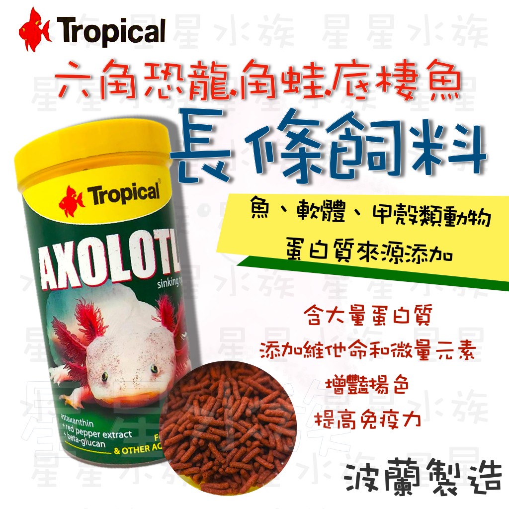 ★免運★ Tropical 德比克 六角恐龍 角蛙 底棲魚 長條飼料 兩棲 蠑螈 波蘭製 星星水族