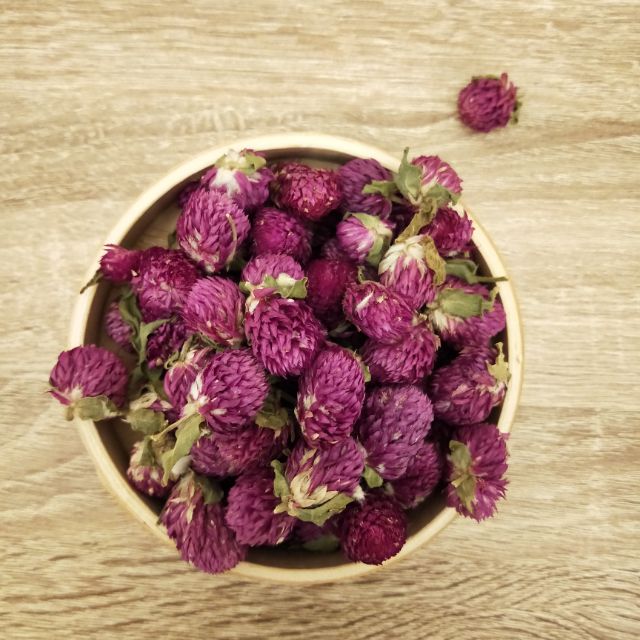 千日紅 Globe Amaranth 蝦皮購物