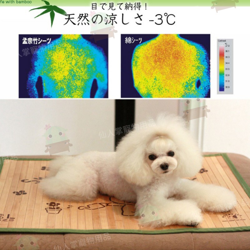 仙人掌寵物用品】寵物散熱竹蓆涼墊/涼蓆/竹墊/寵物墊/寵物竹蓆/寵物睡 