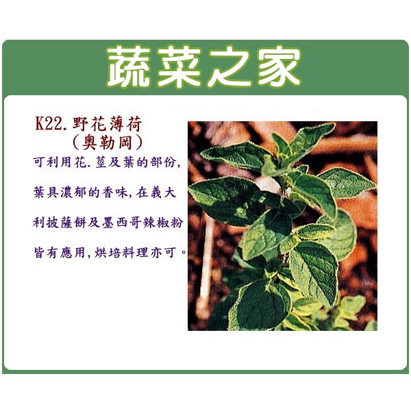 蔬菜之家 K22 野花薄荷 奧勒岡 種子300顆 可利用花 莖及葉的部份 葉具濃郁的香味 蝦皮購物