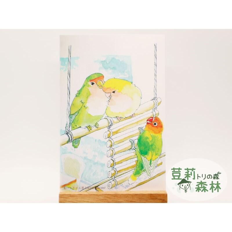 現貨 日本 鸚鵡明信片 愛情鳥 小鸚 牡丹 小鳥鸚鵡文具雜貨文創 生日卡 萬用卡 賀卡 鸚鵡周邊