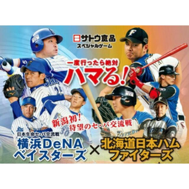 2019 年撿便宜出清優惠第一彈 (日本職棒12球團 球衣 外套 棒球用品相關 有日本製 MADE IN JAPAN )