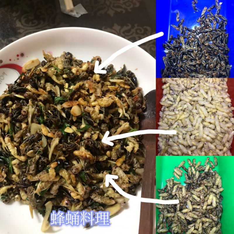 出清  2021/08/01直徑50公分黑尾虎頭蜂窩，虎頭蜂純白蛹，有手腳虎頭蜂蛹