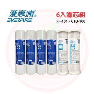 ❤頻頻小舖❤ EVERPURE 愛惠浦 PF-101 / PF-105 CTO-100 標準10吋 一年份濾芯組 6入