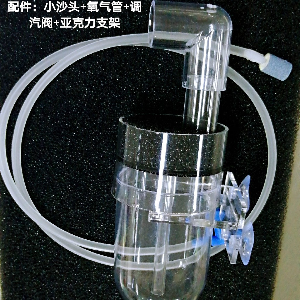 三湖慈鯛孵化器魚卵孵化器異型孵化器鼠魚孵化器圓底孵化器包郵全館免運 蝦皮購物
