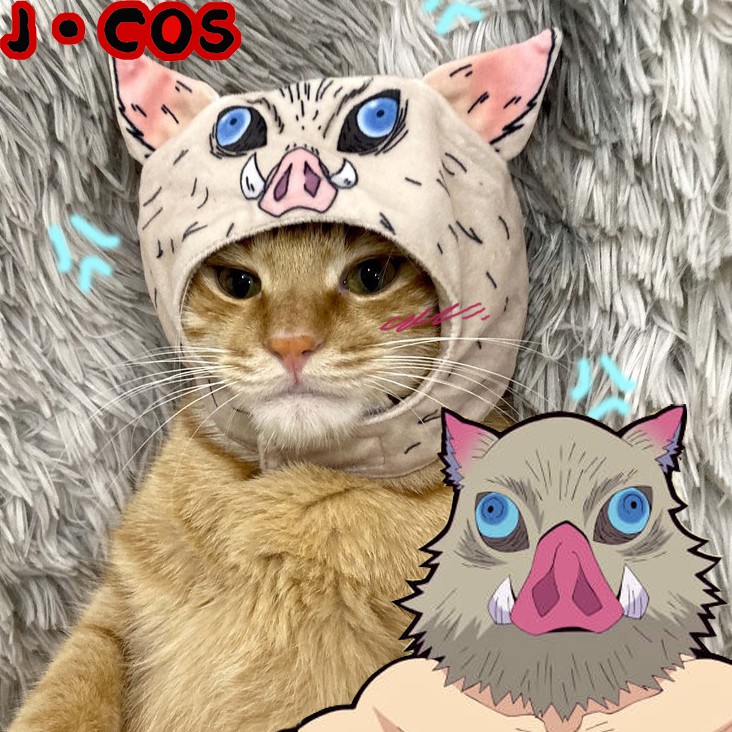 嘴平伊之助貓頭套貓衣服鬼滅之刃寵物cosplay 貓 蝦皮購物