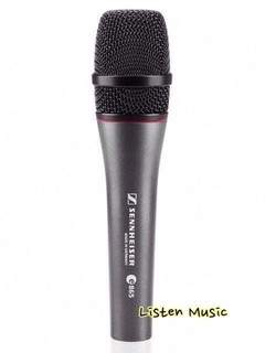 【立昇樂器】Sennheiser E865 德國聲海 手持電容式 超心型指向麥克風【原廠公司貨】