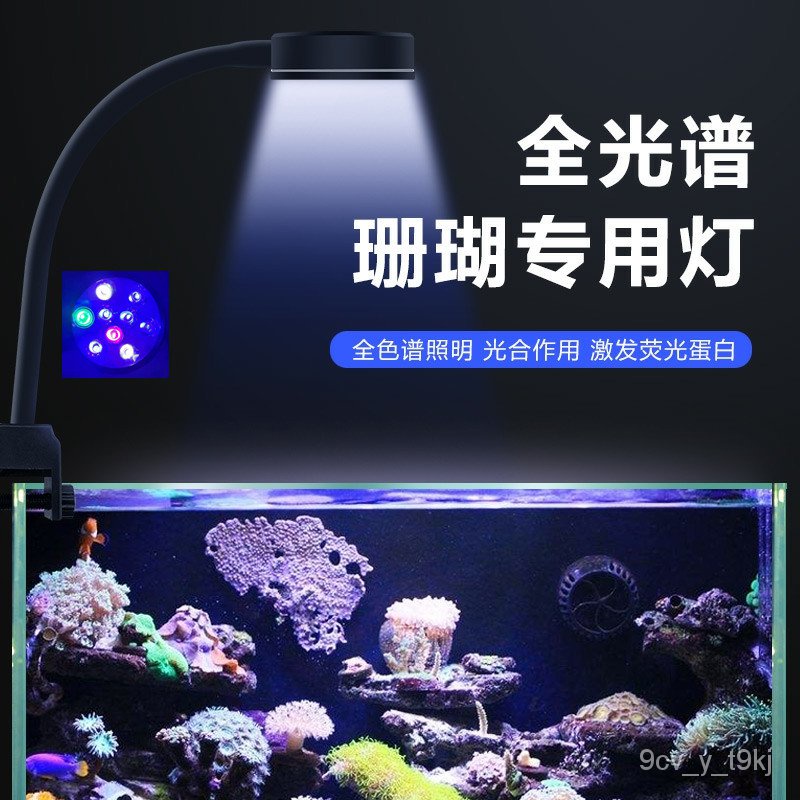 Led魚缸珊瑚海水缸 Ptt Dcard討論與高評價商品 21年11月 飛比價格