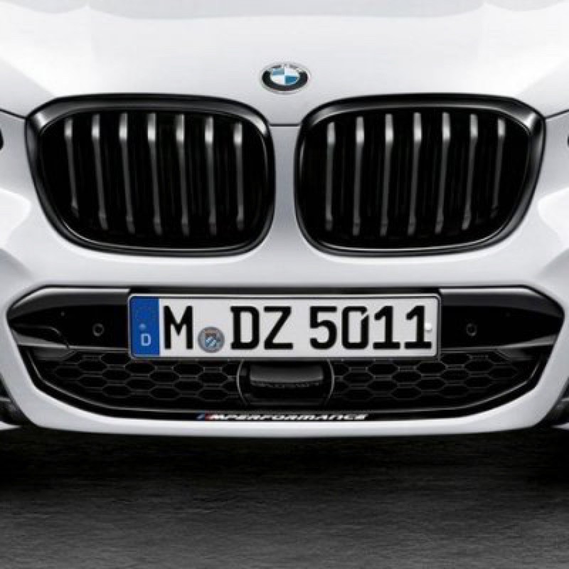 BMW X3 X4 G01 G02 M Performance 亮黑 水箱護罩 黑鼻頭 副廠1:1 高品質
