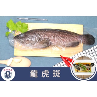 【長順漁產】台灣養殖石斑魚|龍虎斑|500g±10% $299|三清(去鱗、去鰓、去內臟)|
