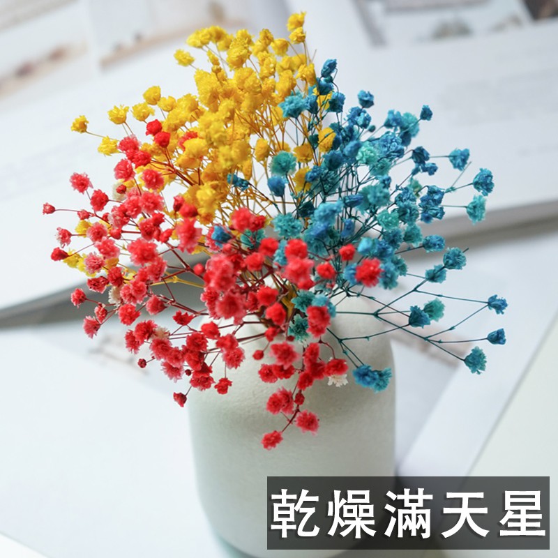 乾燥花滿天星整束永生花仿真花素材不凋花保鮮花人造花乾燥花材花藝設計婚禮佈置捧花裝飾花 蝦皮購物