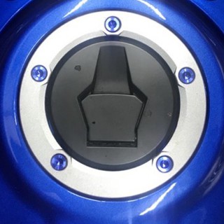 YR FACTORY SUZUKI GIXXER SF 250油箱蓋鈦合金螺絲