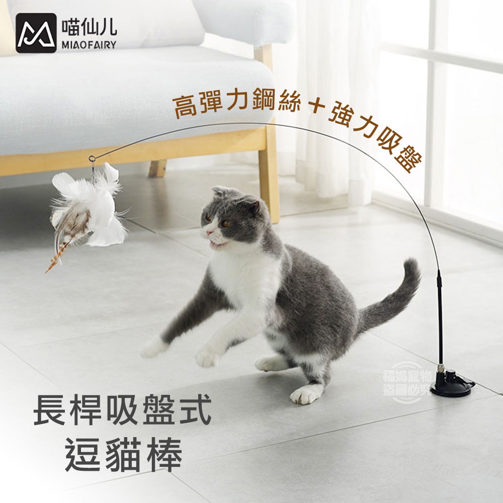 【現貨】逗貓棒 吸盤逗貓棒 貓玩具 逗貓玩具 自動逗貓 逗貓棒替換頭 羽毛逗貓棒 鋼絲逗貓棒 逗貓神器 福媽寵物