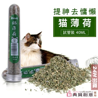 貓薄荷40ml試管裝 純天然貓薄荷無新增 貓草 貓零食 貓玩具 去毛球 天然貓草 薄荷葉 貓用品 寵物用品 典贊創意