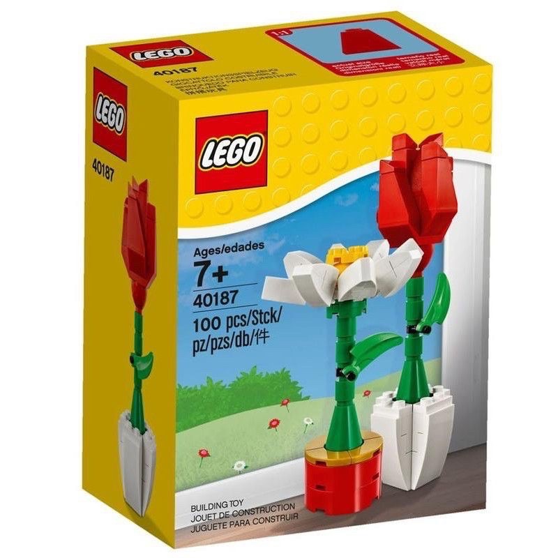 LEGO 40187 鬱金香 太陽花 全新現貨 （七張捷運站可面交）