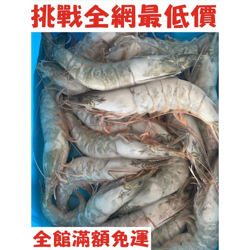 🔥挑戰全網最底價🔥泰國活凍白蝦 26/30 600g