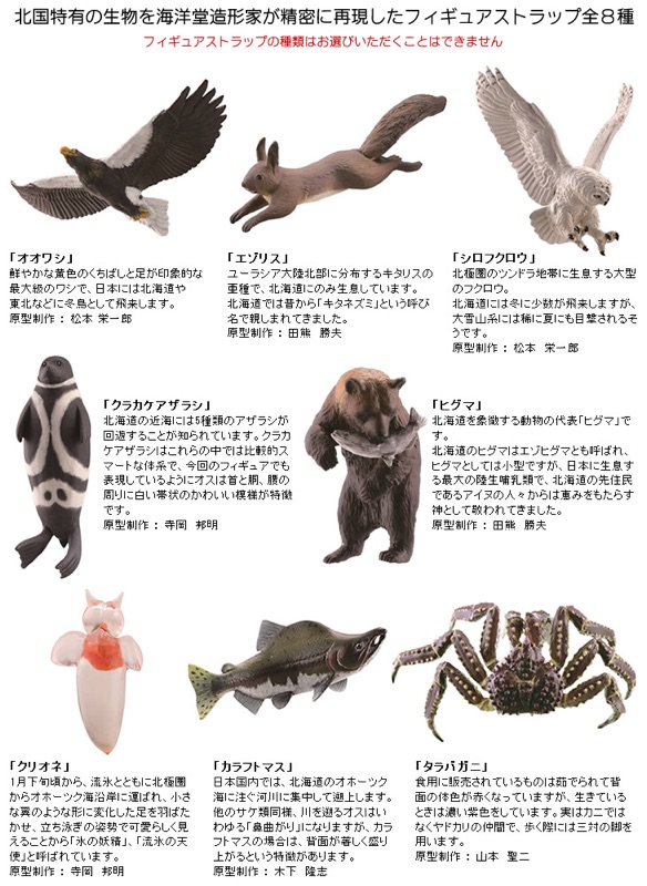 北海道限定北の動物海洋堂 蝦皮購物
