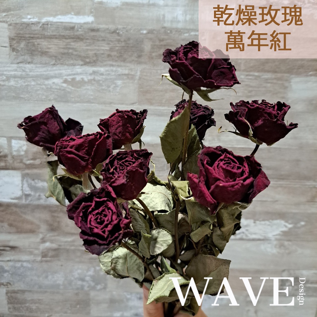 《WAVE Design 》現貨 天然乾燥花 植物果實 花材 花藝材料 拍照道具 永生花 乾花 永生花 乾燥花 乾燥玫瑰