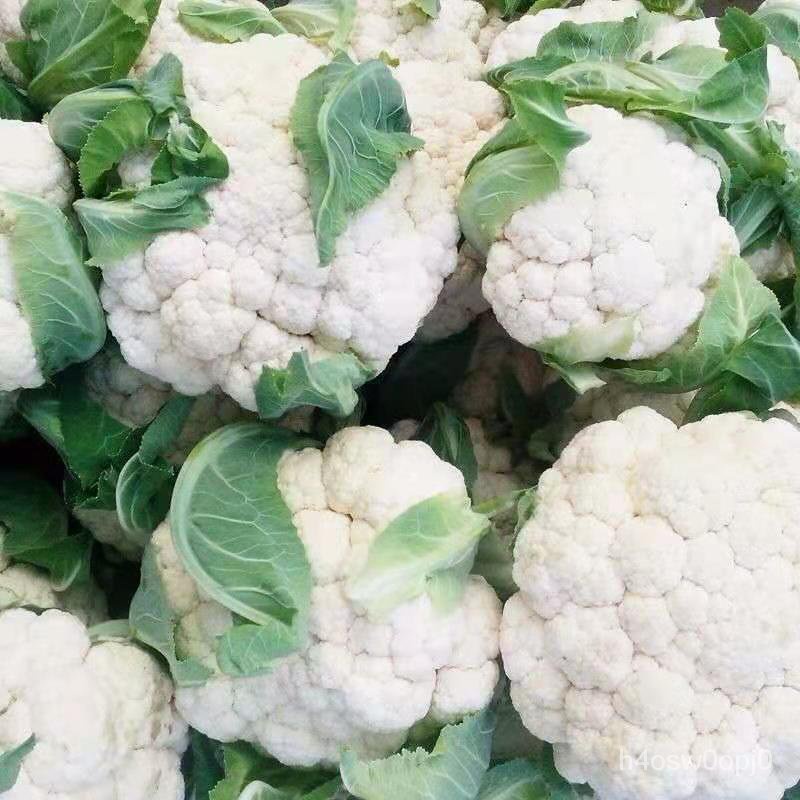 紫色花椰菜 優惠推薦 21年12月 蝦皮購物台灣