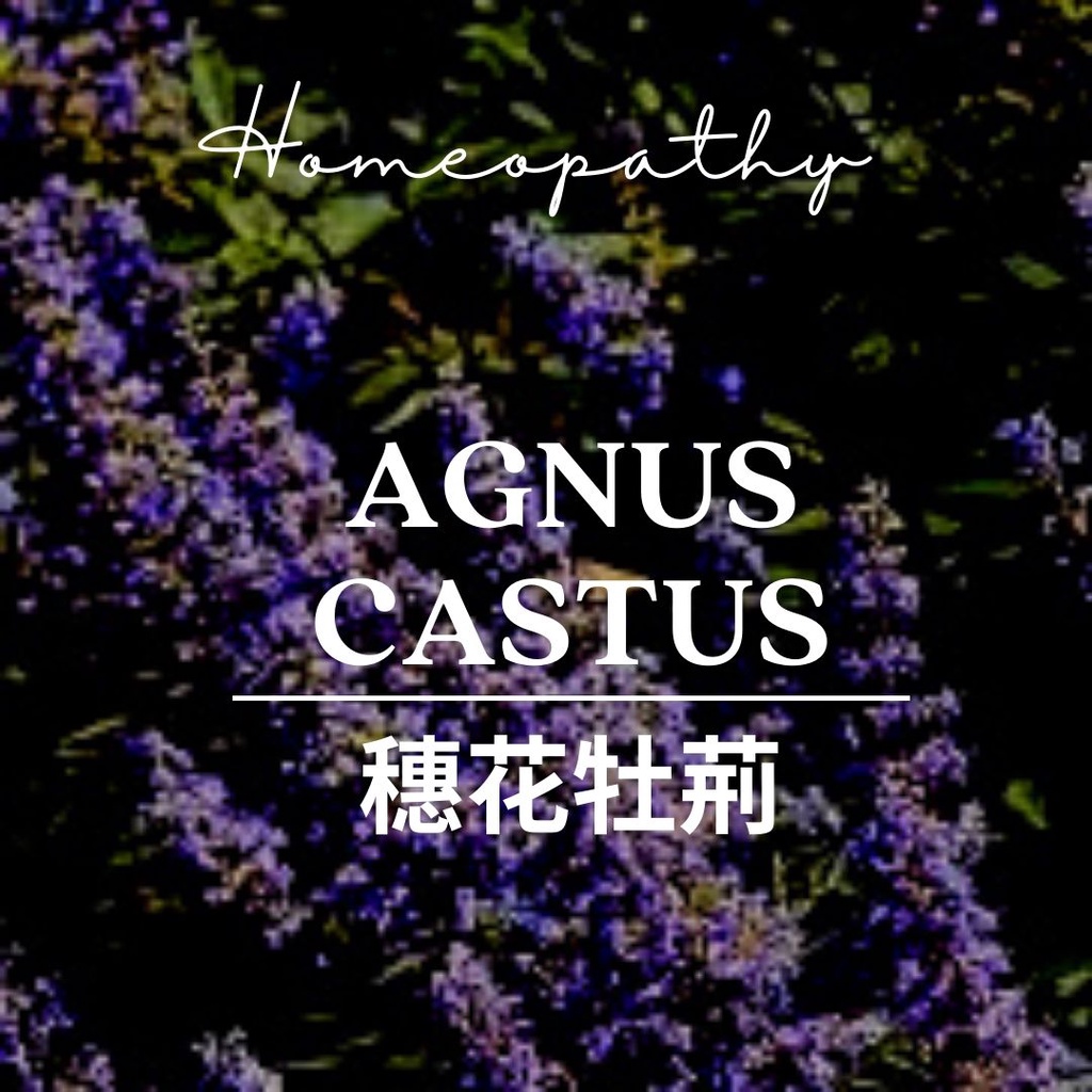 順勢糖球【穗花牡荊●貞潔樹●貞節樹Agnus Castus】兩性力量Homeopathic Granule 9g