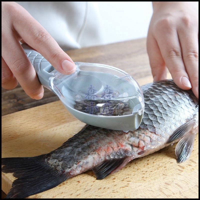 森森 魚鱗刨刮鱗器家用去魚鱗器刮魚鱗神器魚鱗刷殺魚器去鱗器刮魚鱗器 蝦皮購物