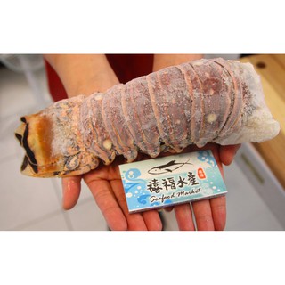 【禧福水產】待補貨 加勒比海龍蝦身/500g±5%/鮮凍頂級龍蝦尾◇$特價1399元/隻/18盎司◇餐廳團購燒烤居酒屋
