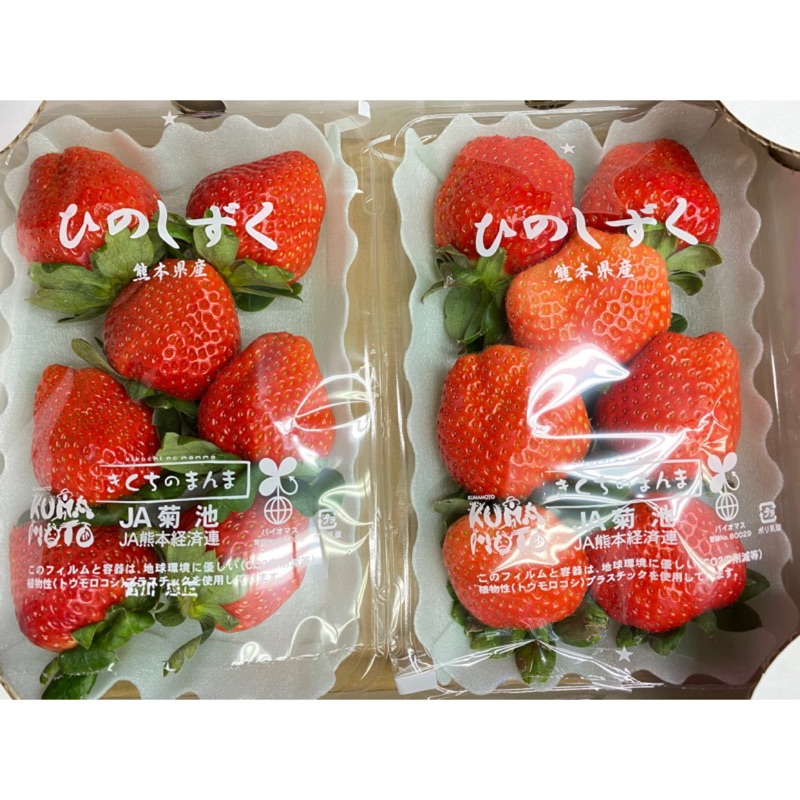 冬季 日本 熊本 小糖蜜草莓 糖蜜品種 禮盒 蝦皮購物