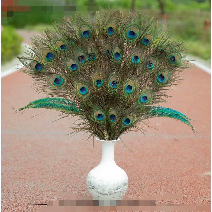 芸兒商城 純天然真孔雀羽毛25 130cm翎尾大眼睛diy飾品裝飾花瓶專用孔雀毛 蝦皮購物