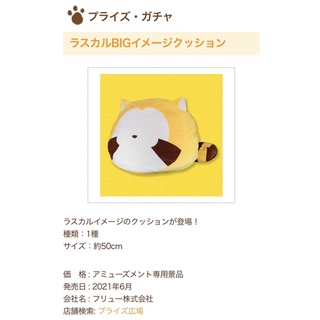 <玩具反斗鎮> 日本 原廠 正版 小浣熊 抱枕 Rascal 午睡枕 無臉 無表情 拉斯卡爾 娃娃 玩偶 景品 午睡枕