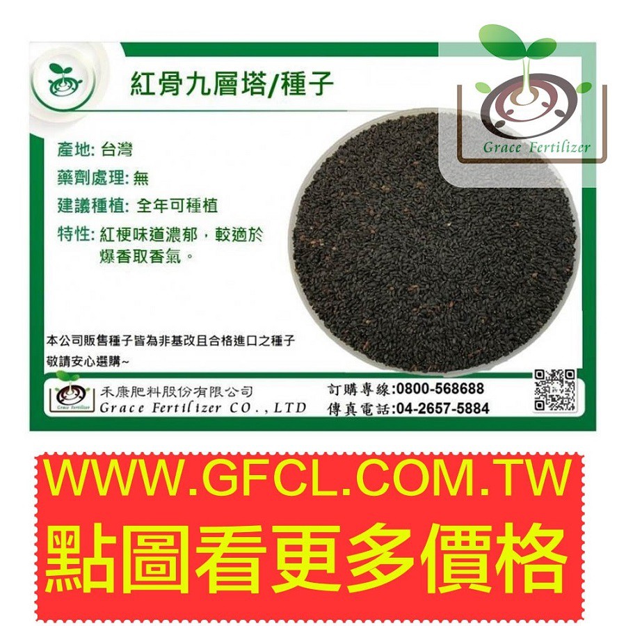 [禾康肥料]紅骨九層塔(大葉)/100g