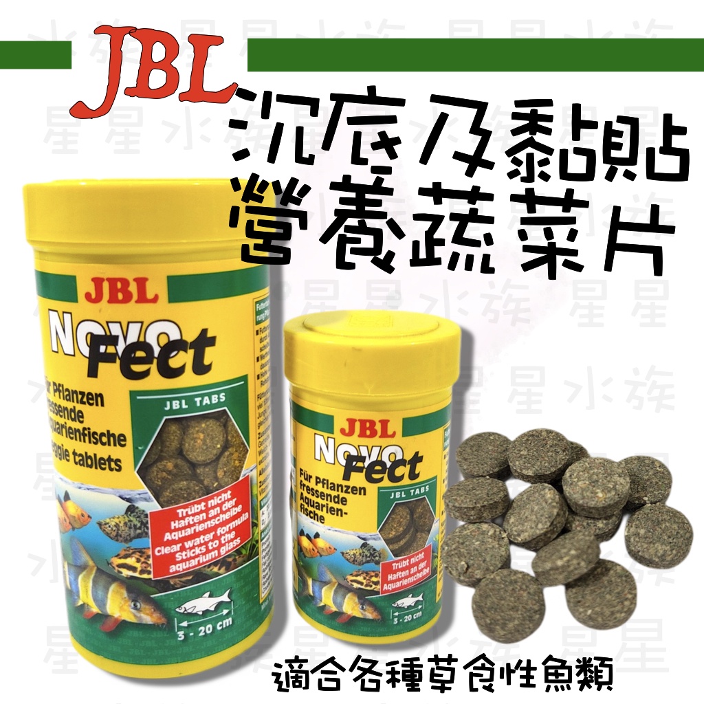 德國 JBL 珍寶 沉底 及 黏貼 蔬菜營養片  【單顆】底棲魚飼料 草食性魚類 琵琶鼠 散裝單顆 星星水族