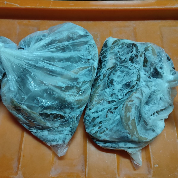 冷凍泥鰍 泥鰍 次級品 NG 飼料 寵物 魚 烏龜 龍 貓咪 狗 單價含運費