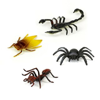 TERRA 昆蟲(小模型) 昆蟲 模型 玩具