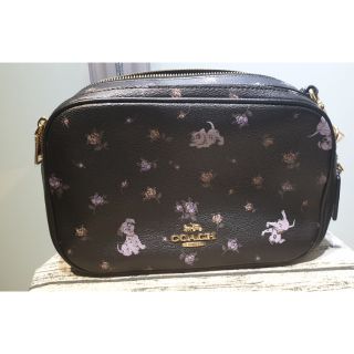 【售出一個，剩最後一個】COACH×DISNEY 迪士尼101忠狗黑色雙層相機包