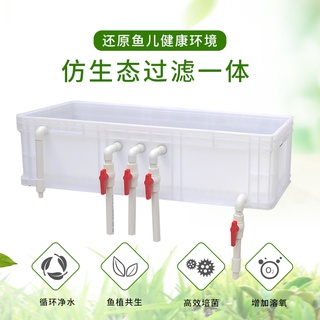 【魚池過濾器 周轉箱 三天淨水 水循環過濾系統】限時免運魚缸沼澤過濾缸自制魚池生態過濾系統整套周轉箱過濾diy 白色