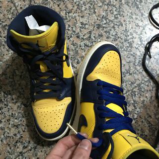 zoo york sb
