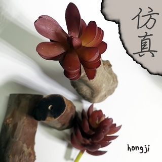 多肉 模擬多肉 微景觀 P87 假多肉植物 居家裝飾辦公室小物商店擺飾生日禮物拍照道具咖啡屋盆栽木頭底座