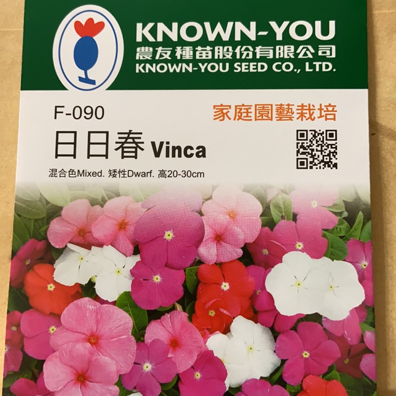 矮種日日春的價格推薦 21年9月 比價比個夠biggo