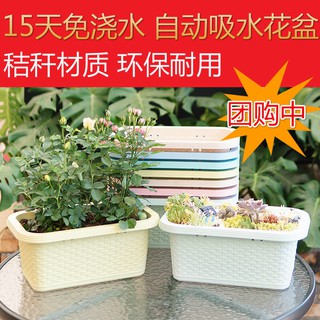 【臺灣現貨+預購】自動吸水種菜盆長方形陽臺家庭蔬菜種植箱壁掛多肉大懶人花盤創意塑膠花盆