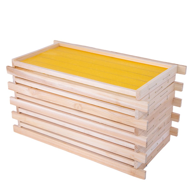 帶巢礎框成品巢框蜂巢中蜂杉木巢基蜜蜂巢框蜂箱專用養蜂工具