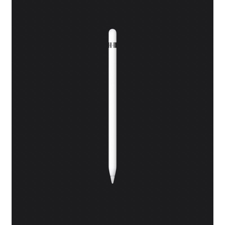 Apple Pencil 1 &amp; 2代