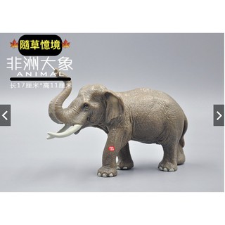 spg 正版 非洲大象 大象 實心有重量感 模擬動物模型套裝 野生動物 兒童玩具禮物