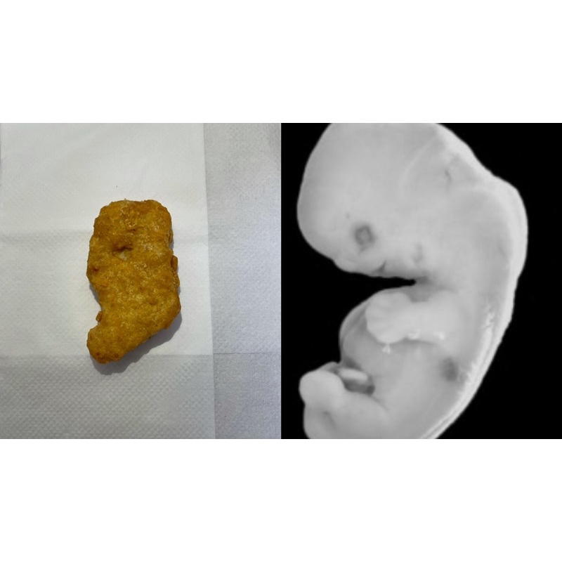 形似胚胎的麥當勞雞塊McDonald’s human embryo shaped Nuggets