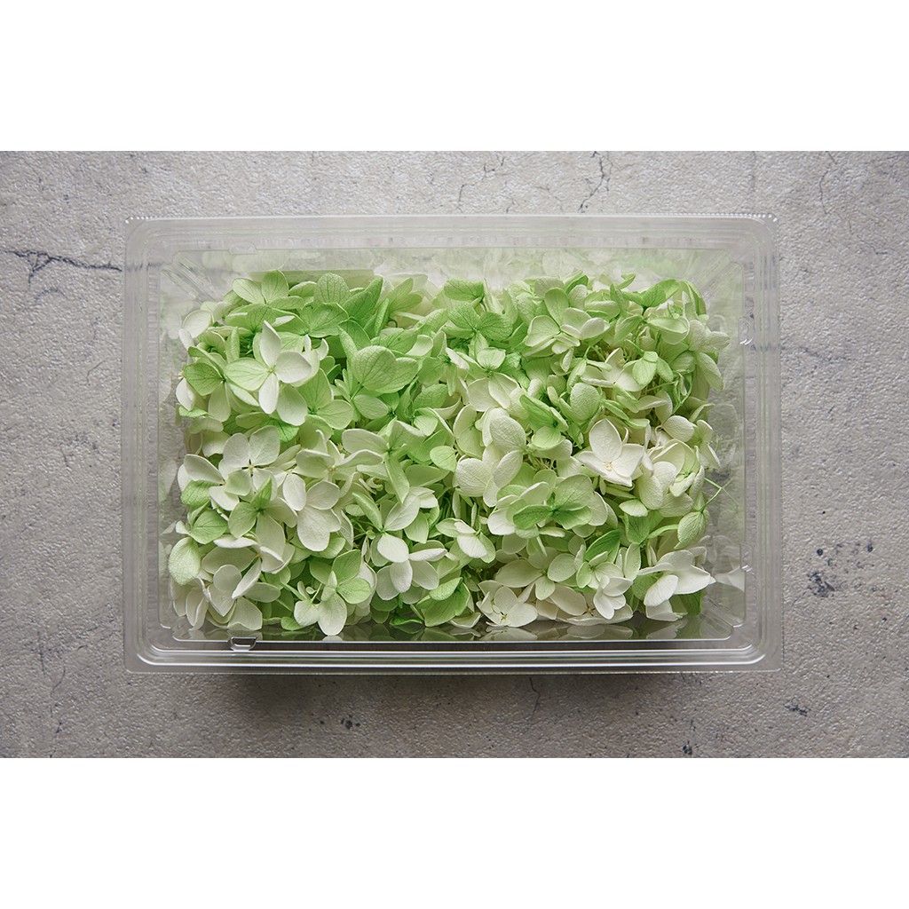 台灣現貨 永生不凋花資材 0151 3 701 日本大地農園 繡球花 不凋花 永生花 半盒 一輪 蝦皮購物
