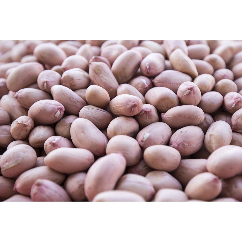 雲林花生仁的價格推薦 21年6月 比價比個夠biggo