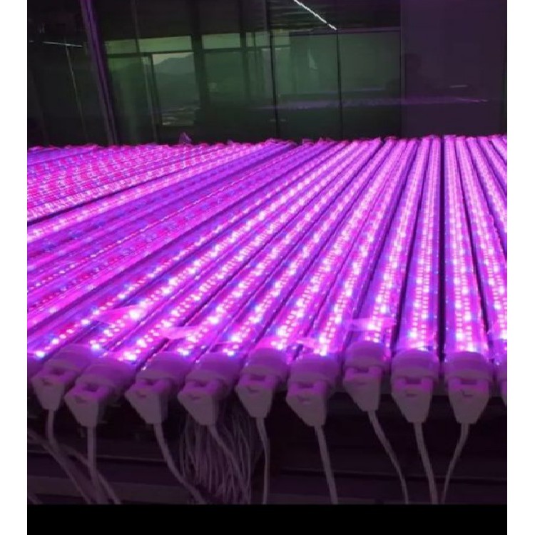 【偉旭日光生活館】  LED T5 2呎 植物燈 紅 日光燈管 (660nm):藍(450nm)=5:1 水族燈 植物燈